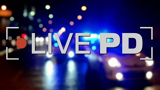live-pd4.jpg live-pd4.jpg